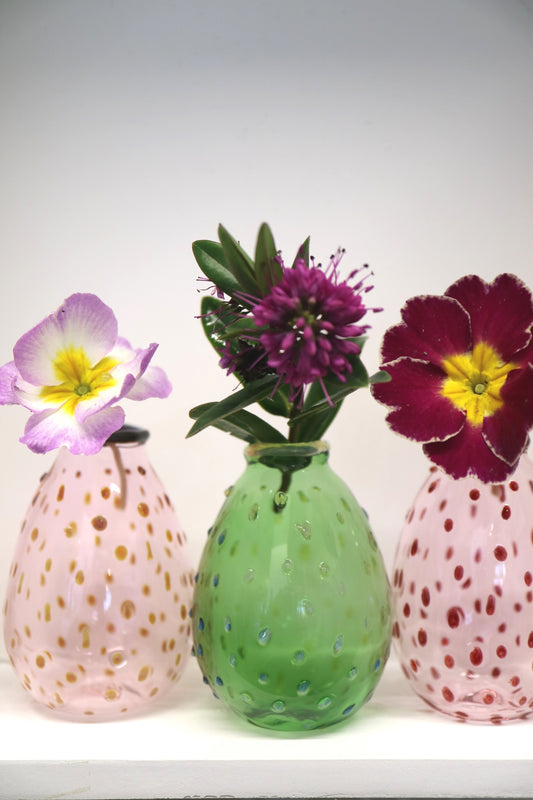 Studio's Wee Holiday - Sep.27 to Oct.3